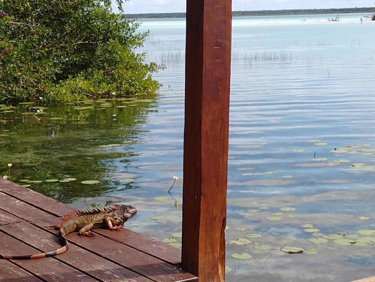 Casa Shiva Bacalar By Mij Bed & Breakfast Bagian luar foto